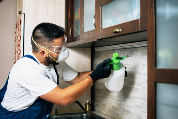 Best Emergency Pest Control  in Frazee, MN