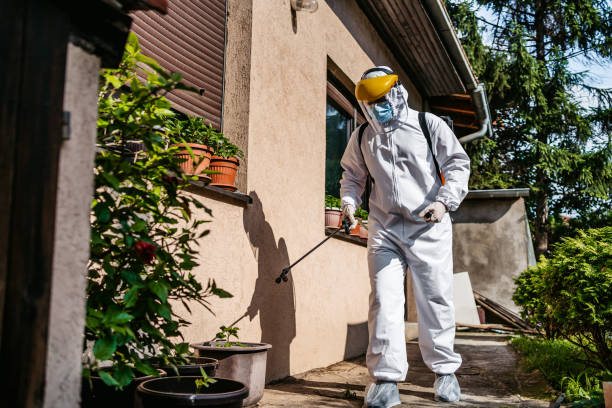 Wasp Removal Services in Frazee, MN