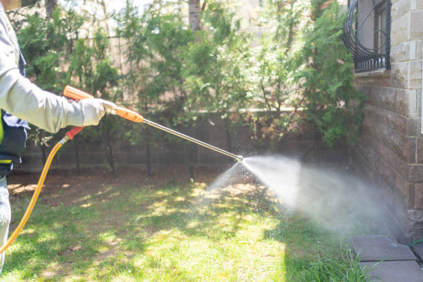 Best Residential Pest Control  in Frazee, MN