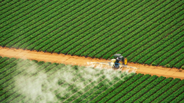 Best Commercial Pest Control Services  in Frazee, MN